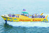 Picture of Dolphin Racer Speedboat Adventure
